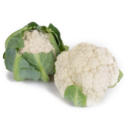 Kalafior Paxton RZ F1 2500 nasion NS st